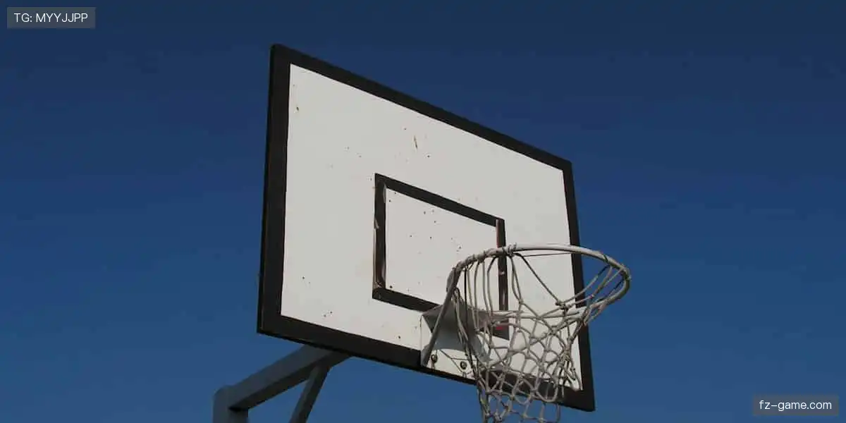 🌍全球体育，一网打尽！从赛场到生活，运动永不落幕✨